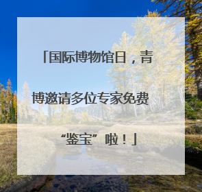 国际博物馆日，青博邀请多位专家免费“鉴宝”啦！
