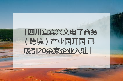 四川宜宾兴文电子商务（跨境）产业园开园 已吸引20余家企业入驻