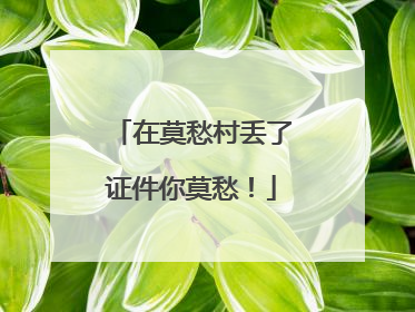 在莫愁村丢了证件你莫愁！