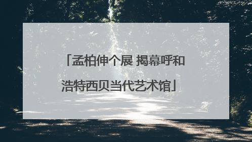 孟柏伸个展 揭幕呼和浩特西贝当代艺术馆