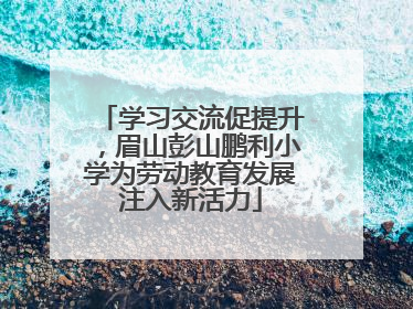 学习交流促提升，眉山彭山鹏利小学为劳动教育发展注入新活力