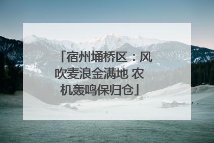 宿州埇桥区：风吹麦浪金满地 农机轰鸣保归仓