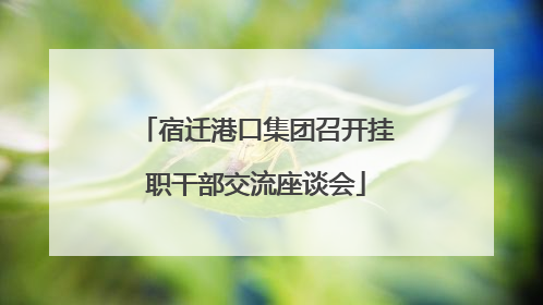 宿迁港口集团召开挂职干部交流座谈会