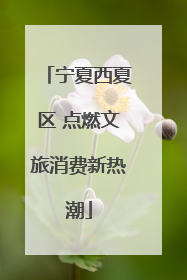 宁夏西夏区 点燃文旅消费新热潮
