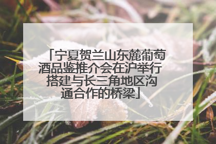 宁夏贺兰山东麓葡萄酒品鉴推介会在沪举行 搭建与长三角地区沟通合作的桥梁