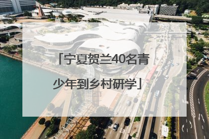 宁夏贺兰40名青少年到乡村研学