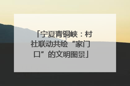 宁夏青铜峡：村社联动共绘“家门口”的文明图景