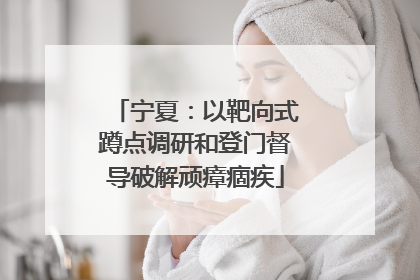 宁夏：以靶向式蹲点调研和登门督导破解顽瘴痼疾
