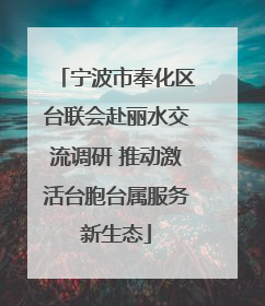 宁波市奉化区台联会赴丽水交流调研 推动激活台胞台属服务新生态