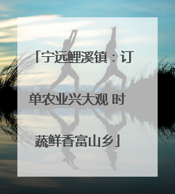 宁远鲤溪镇：订单农业兴大观 时蔬鲜香富山乡