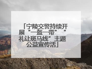宁陵交警持续开展“一盔一带”“礼让斑马线”主题公益宣传活