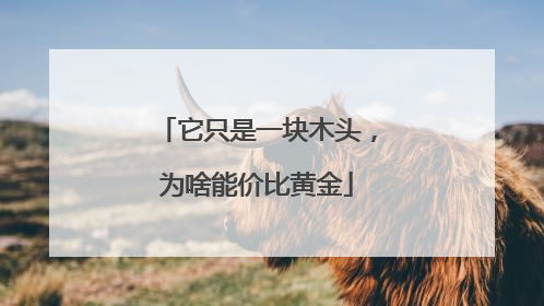 它只是一块木头，为啥能价比黄金