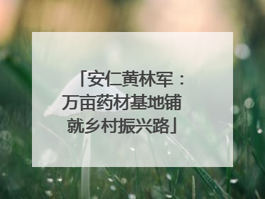 安仁黄林军：万亩药材基地铺就乡村振兴路