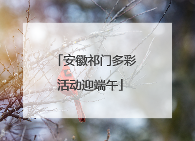 安徽祁门多彩活动迎端午