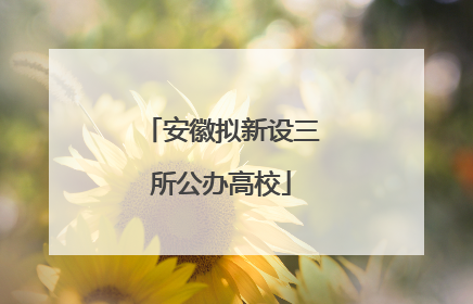 安徽拟新设三所公办高校