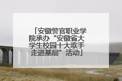 安徽警官职业学院承办“安徽省大学生校园十大歌手走进基层”活动