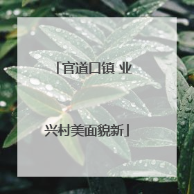 官道口镇 业兴村美面貌新