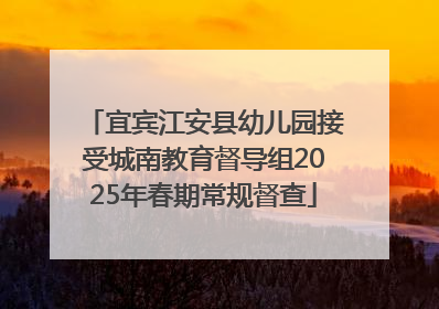 宜宾江安县幼儿园接受城南教育督导组2025年春期常规督查