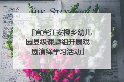 宜宾江安橙乡幼儿园县级课题组开展戏剧演绎学习活动