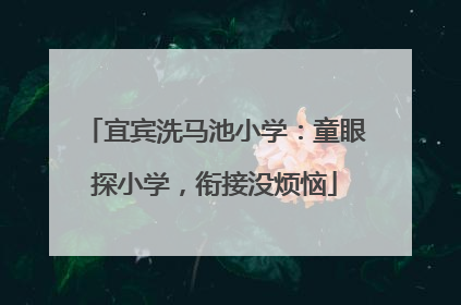 宜宾洗马池小学：童眼探小学，衔接没烦恼