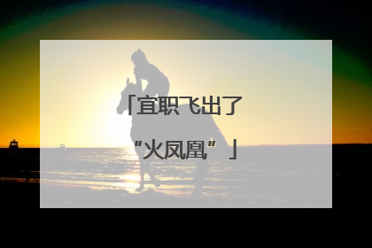 宜职飞出了“火凤凰”