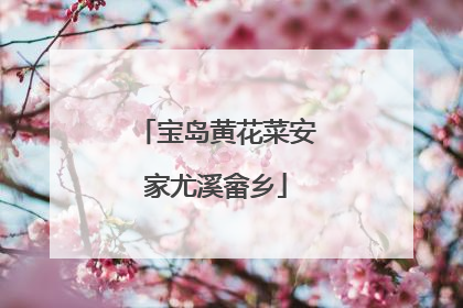 宝岛黄花菜安家尤溪畲乡
