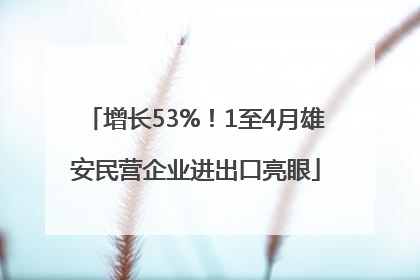 增长53%！1至4月雄安民营企业进出口亮眼