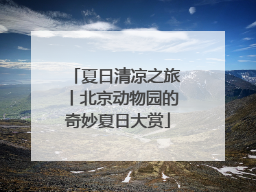 夏日清凉之旅丨北京动物园的奇妙夏日大赏