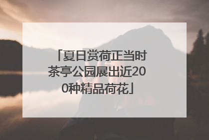 夏日赏荷正当时 茶亭公园展出近200种精品荷花