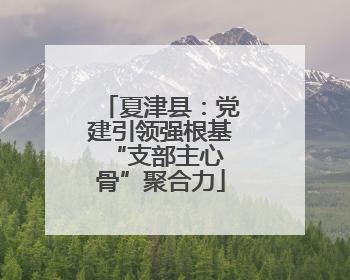夏津县：党建引领强根基 “支部主心骨”聚合力
