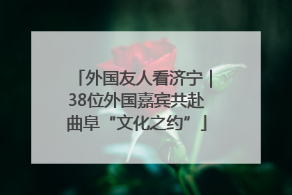 外国友人看济宁｜38位外国嘉宾共赴曲阜“文化之约”