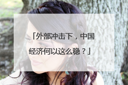 外部冲击下，中国经济何以这么稳？