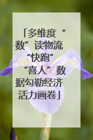 多维度“数”读物流“快跑” “喜人”数据勾勒经济活力画卷