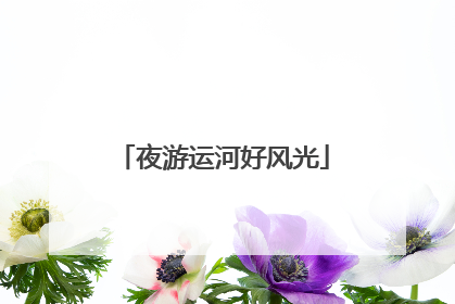 夜游运河好风光