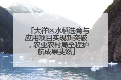 大祥区水稻选育与应用项目实现新突破，农业农村局全程护航成果斐然
