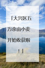 大兴区五万余亩小麦开始收获啦！
