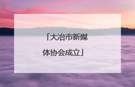 大冶市新媒体协会成立