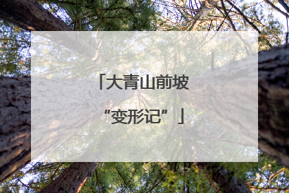 大青山前坡“变形记”