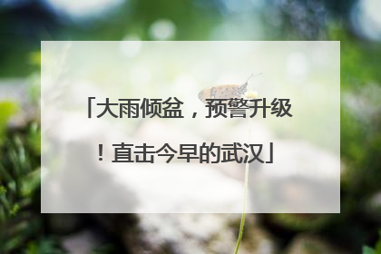 大雨倾盆，预警升级！直击今早的武汉