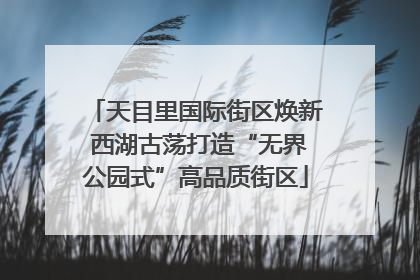 天目里国际街区焕新 西湖古荡打造“无界公园式”高品质街区