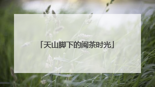 天山脚下的闽茶时光