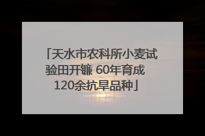 天水市农科所小麦试验田开镰 60年育成120余抗旱品种