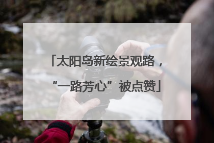 太阳岛新绘景观路，“一路芳心”被点赞