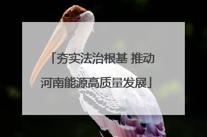 夯实法治根基 推动河南能源高质量发展