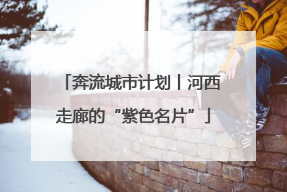 奔流城市计划丨河西走廊的“紫色名片”