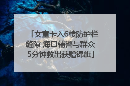 女童卡入6楼防护栏缝隙 海口辅警与群众5分钟救出获赠锦旗