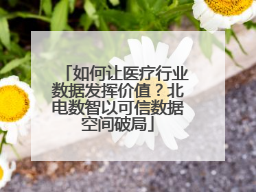 如何让医疗行业数据发挥价值？北电数智以可信数据空间破局