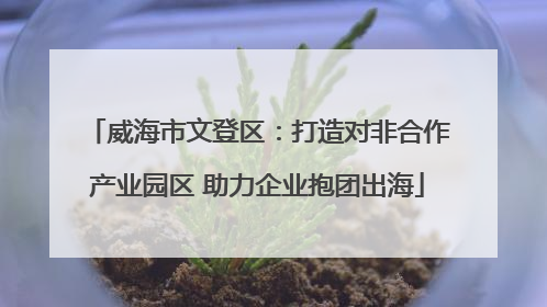 威海市文登区：打造对非合作产业园区 助力企业抱团出海