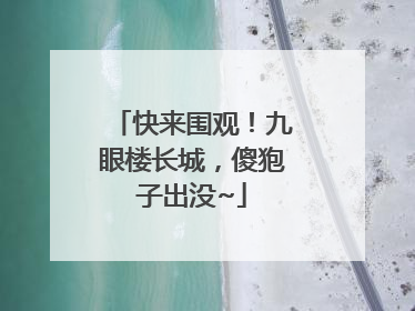 快来围观！九眼楼长城，傻狍子出没~