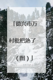德兴市万村枇杷熟了（图）